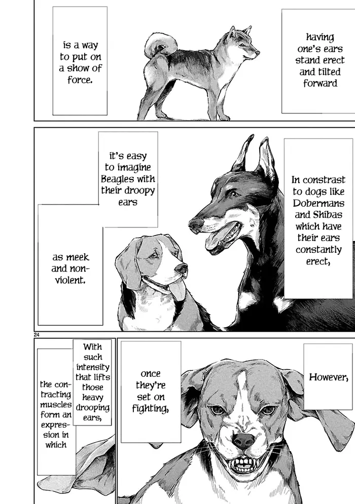 Killing Bites Chapter 66 image 23_optimized